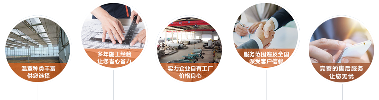 濰坊金盟生態(tài)農業(yè)有限公司-需求溝通